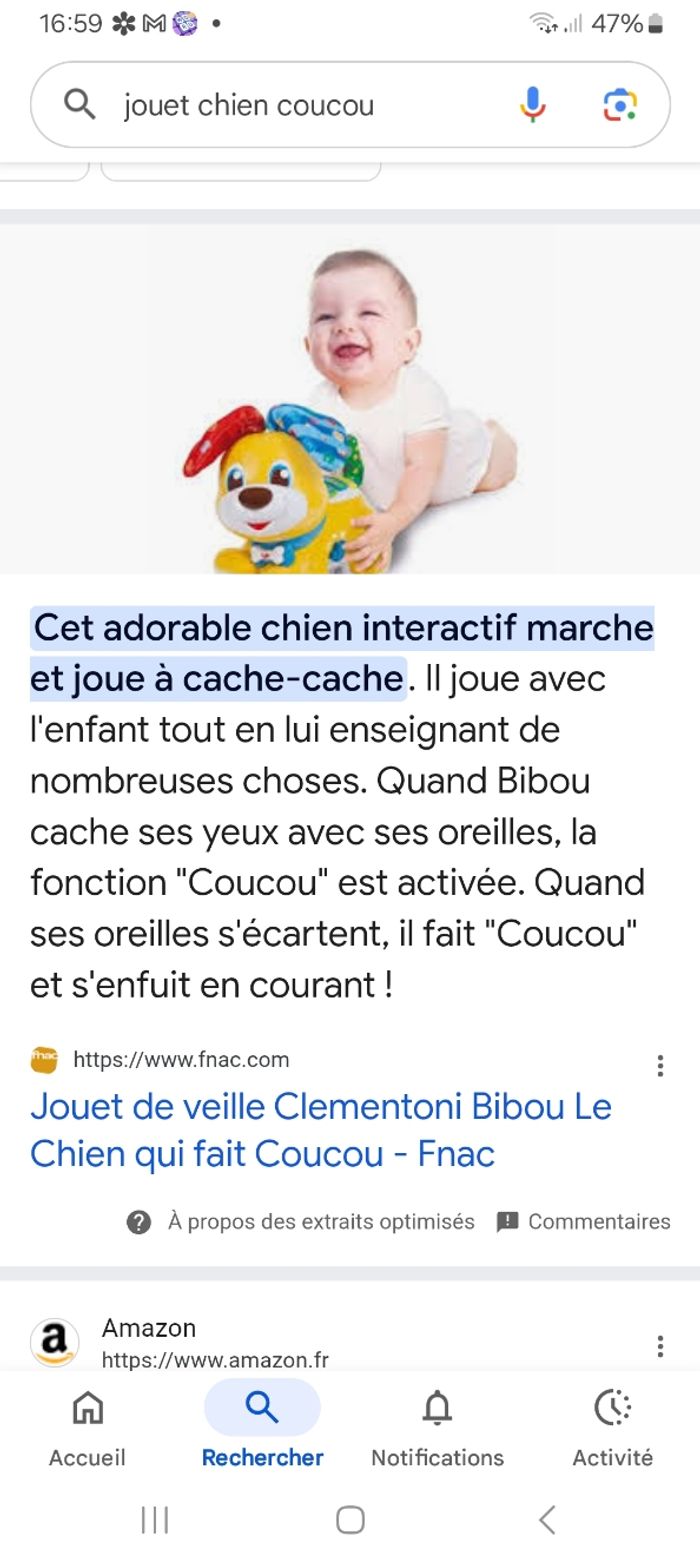Bibou le chien qui fait coucou - photo numéro 5