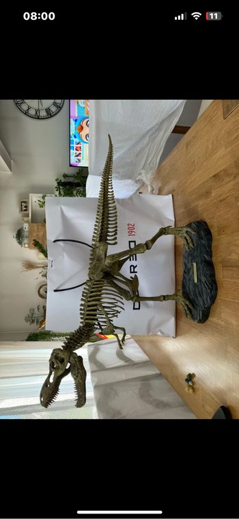 Squelette tyrannosaurus Rex