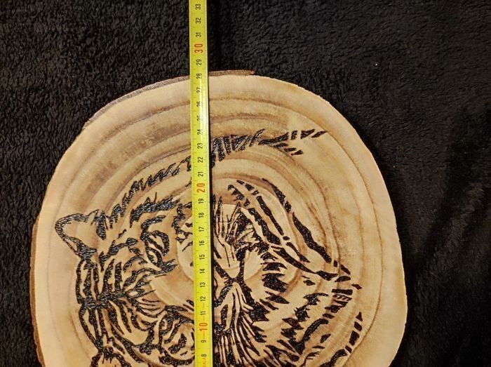 Rondin de bois tigre - photo numéro 4