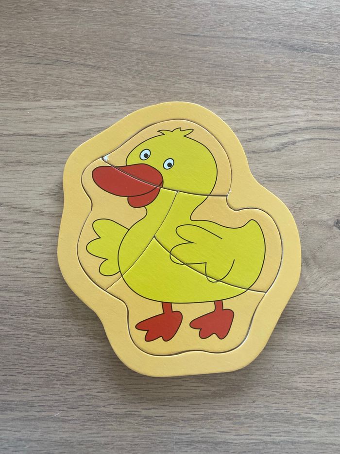 Puzzle canard