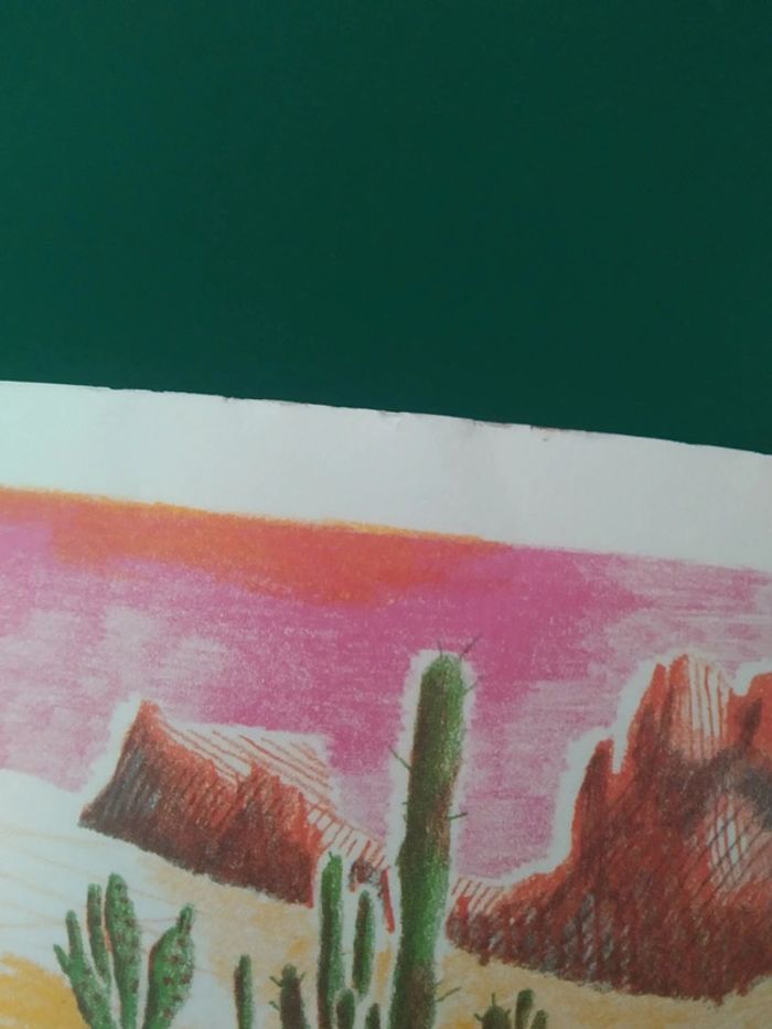 Western - photo numéro 4