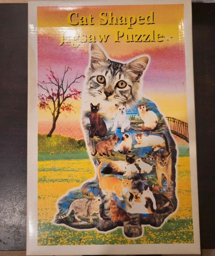 Puzzle casse tête 1000 pièces