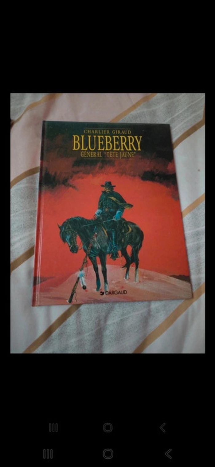 Bd blueberry général tête jaune