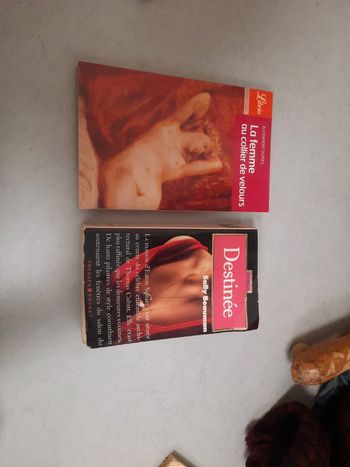 Lot 2 livre femme