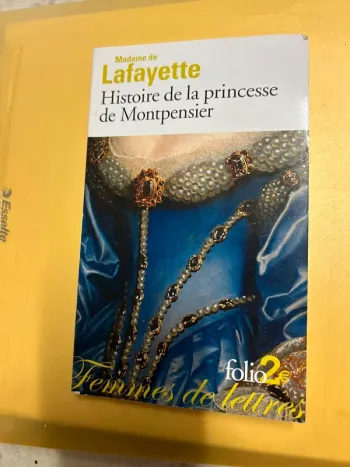 Histoire de la princesse de Montpensier