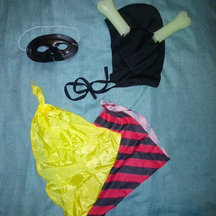 Accessoires déguisement