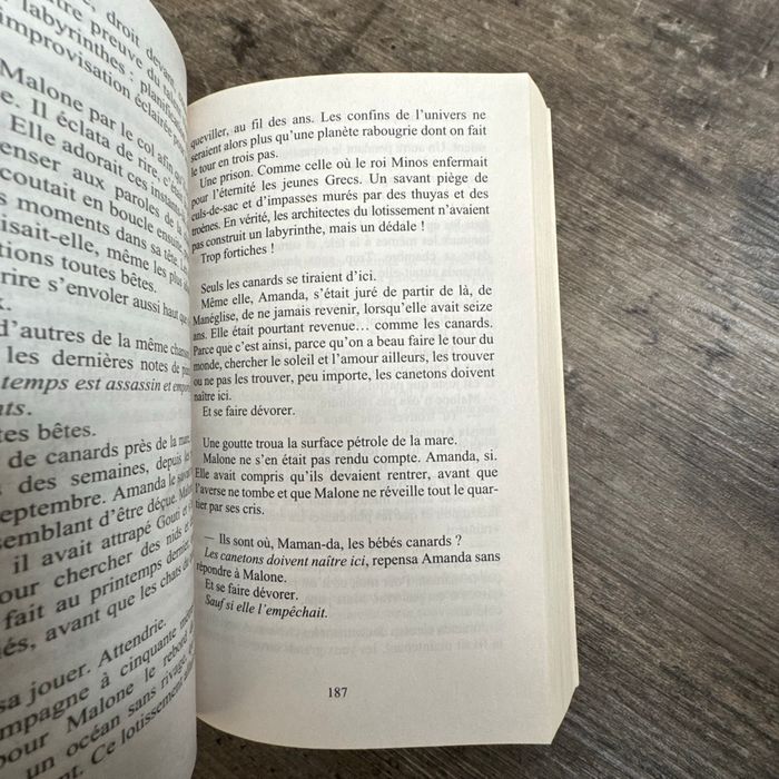 Michel Bussi - Maman a tort - photo numéro 8