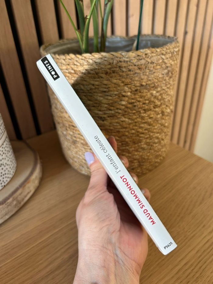 Livre L’enfant Céleste - photo numéro 4