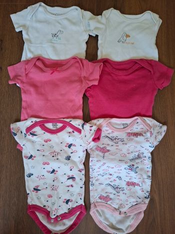 Lot 6 bodies