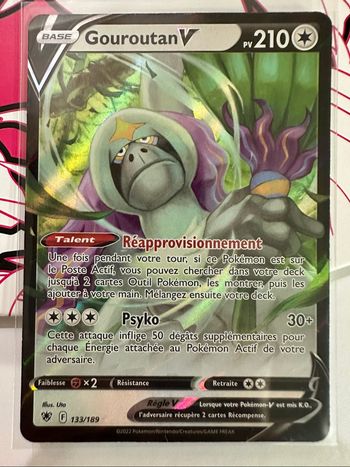 Gouroutan V 133/189 FR