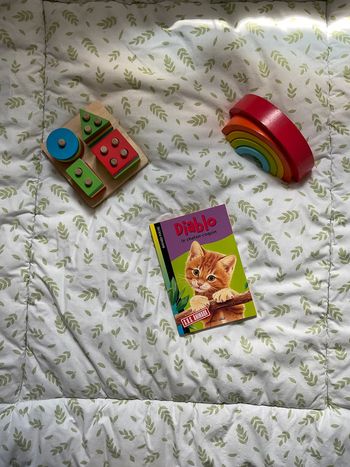 livre sos animaux diablo le chaton coquin tome 604