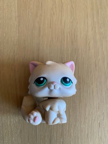 Figurine pet shop chat persan yeux verts