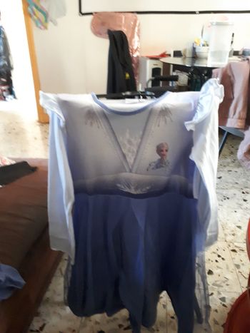 deguisement reine des neige