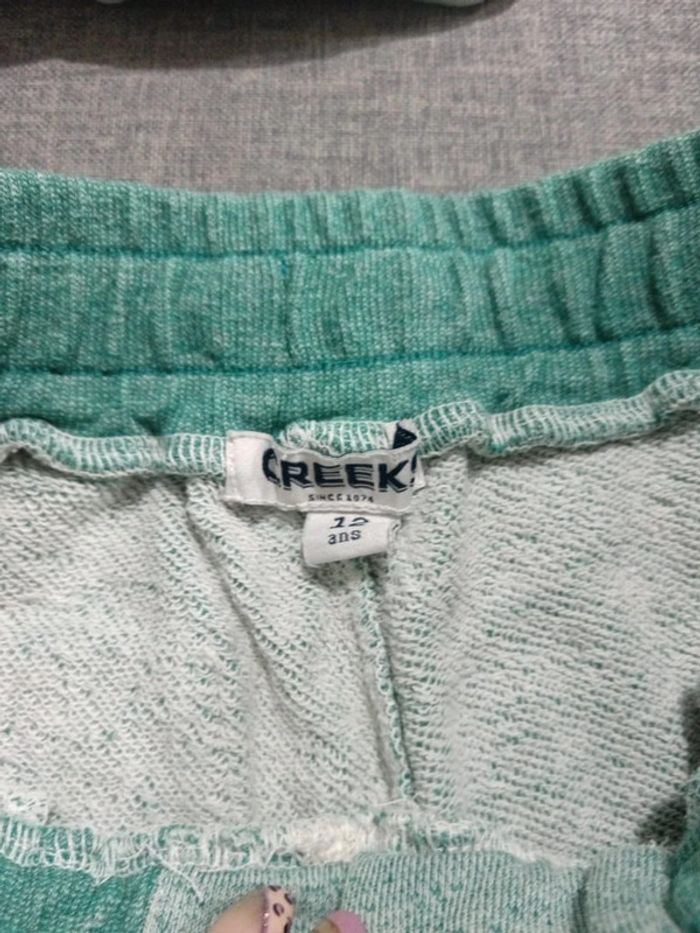 C58 short vert Creeks 12 ans - photo numéro 3