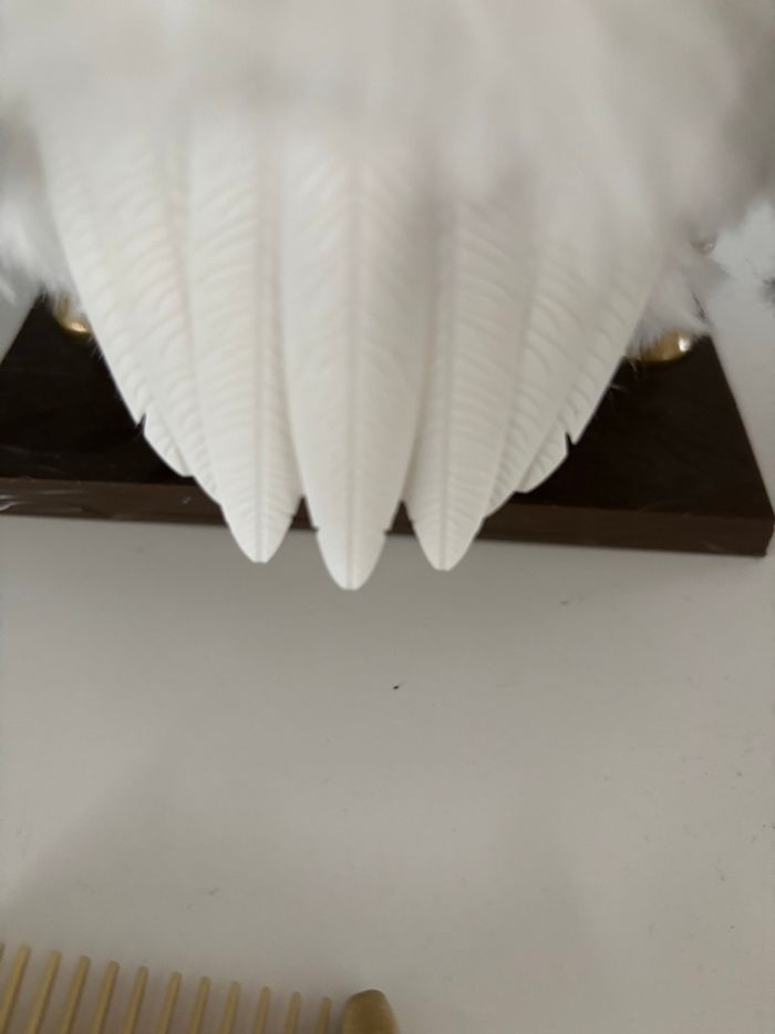 Hedwige - photo numéro 9