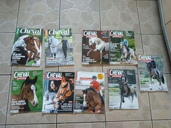 9 livres sur les chevaux