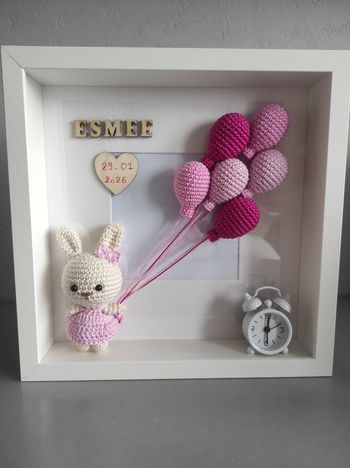 Cadre naissance lapin 