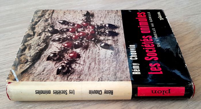 rémy chauvin - les sociétés animales de l'abeille au gorille - photo numéro 2