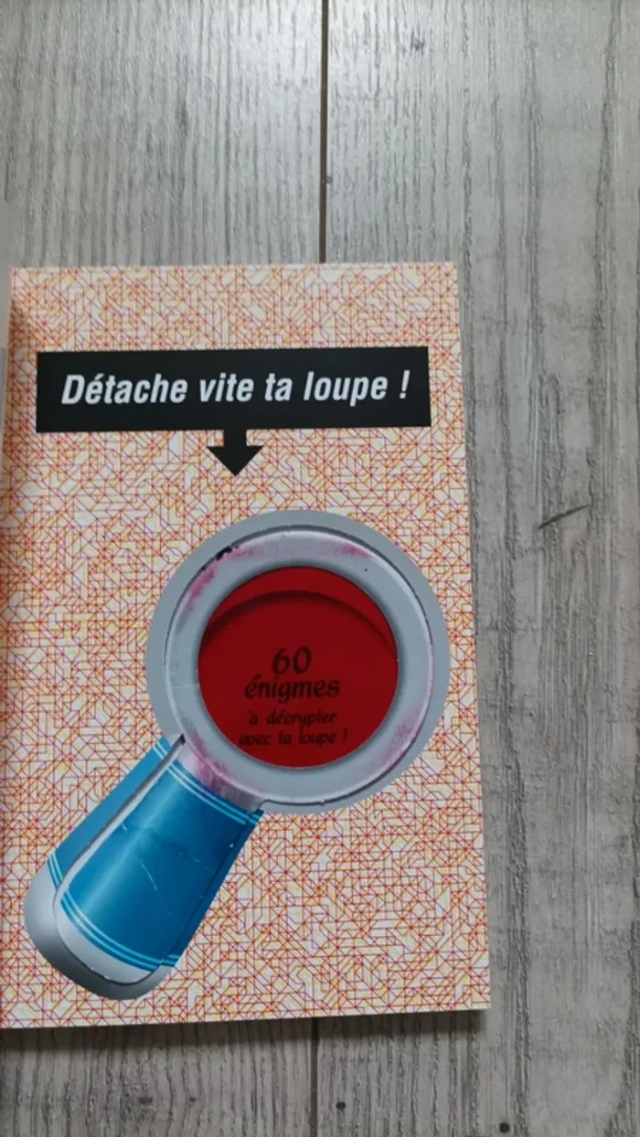 Joli livre d enquêtes et révisions CM1 et CM2 - photo numéro 2