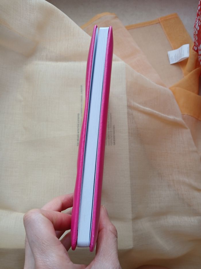 Notebook 3 D Minnie - photo numéro 4