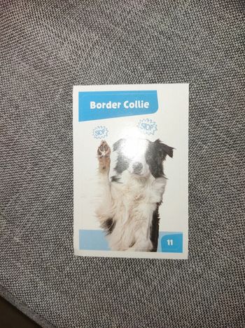 Autocollant nos amies les bêtes