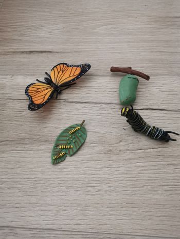 Matériel montessori