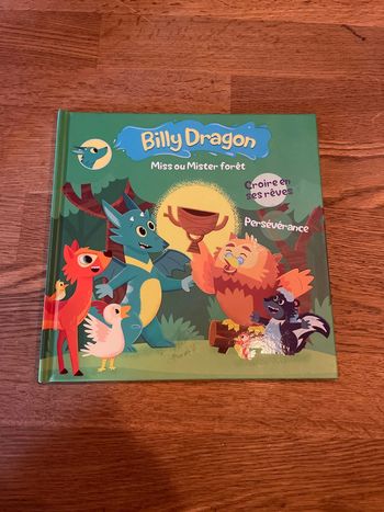 Livre Billy Dragon Miss ou Mister forêt  Croire en ses rêvés Persévérance