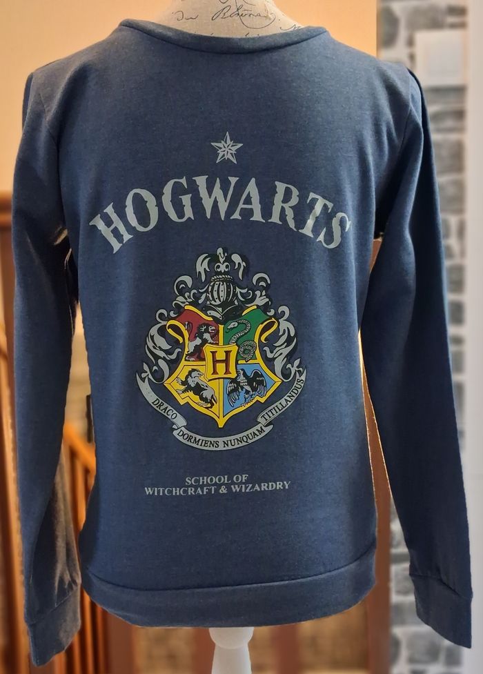 Pull molletonné Harry Potter bleu - photo numéro 1