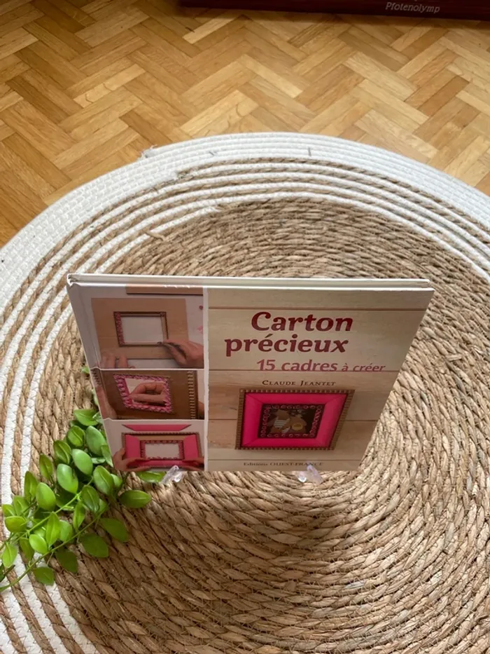 Livre - Carton précieux - photo numéro 2