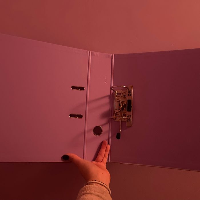 Classeur rose, violet - photo numéro 3