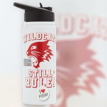 Gourde disney store High school musical