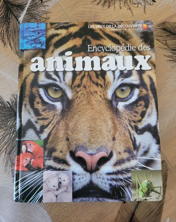 Encyclopedie Des Animaux Collectifs Jeunesse