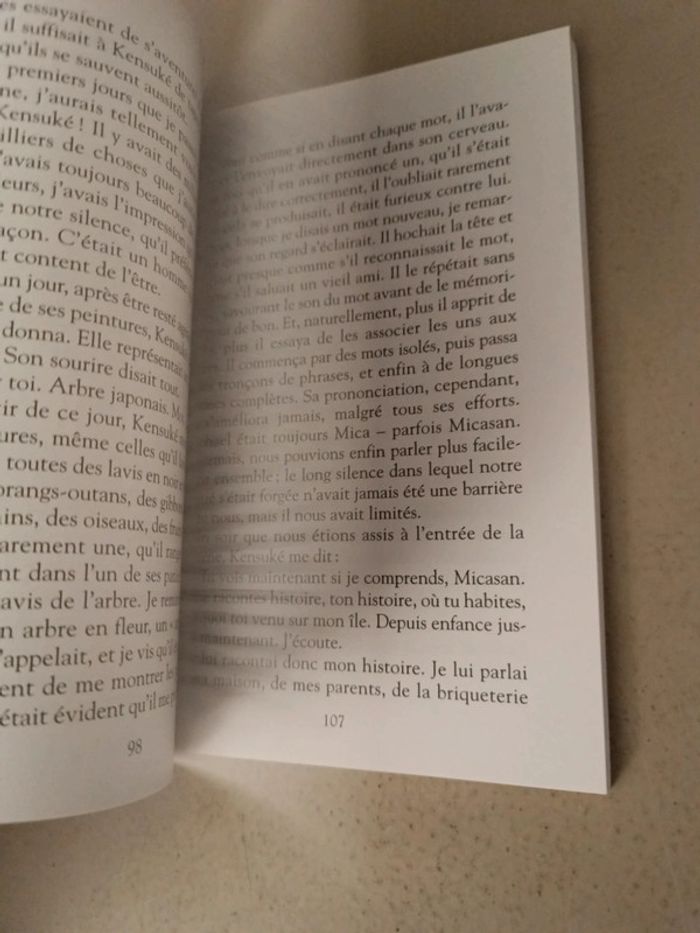 Michael Morpurgo le royaume de kensuké - photo numéro 8