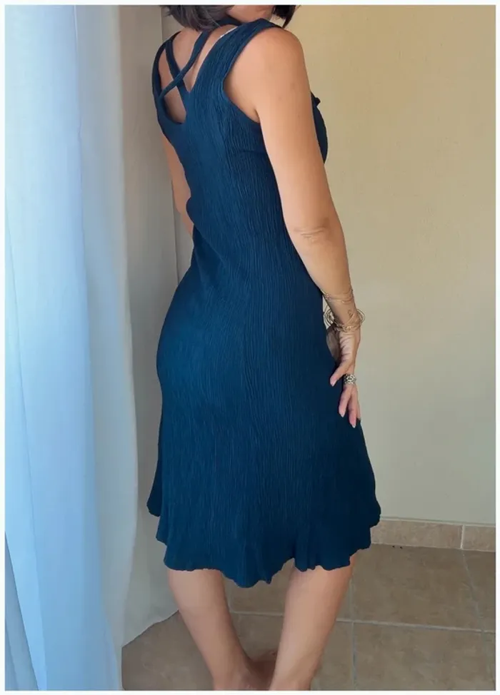 Robe bleu Berger du Nord - photo numéro 2