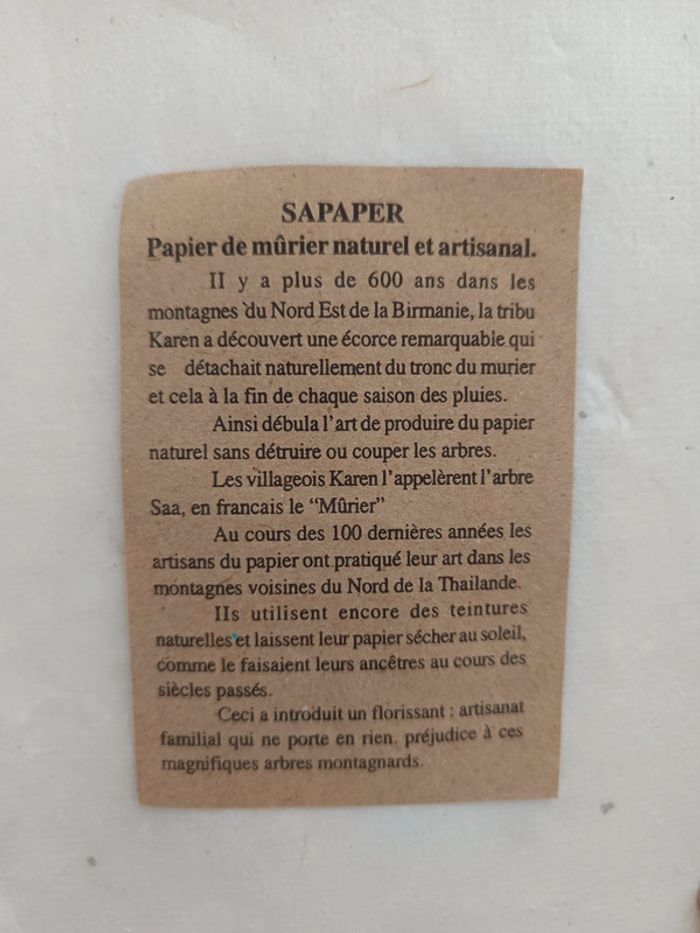 Album photo - photo numéro 4