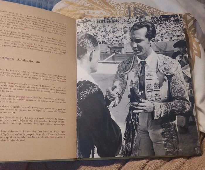 Toreros dans l'arène - photo numéro 4