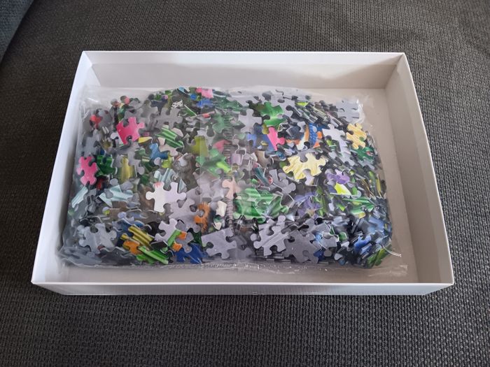 Puzzle 1000 pièces - photo numéro 2