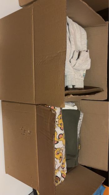 Lot vêtement du roi lion