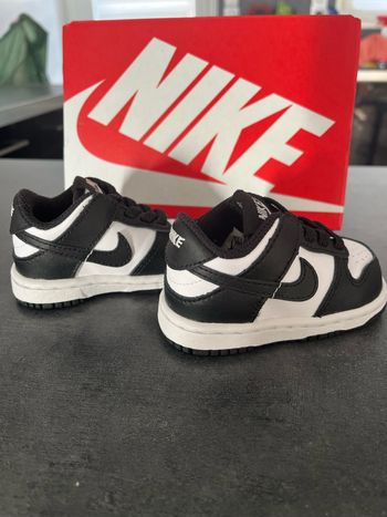 Nike dunk low