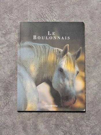 Le Boulonnais Par Yves-Marie Lucot