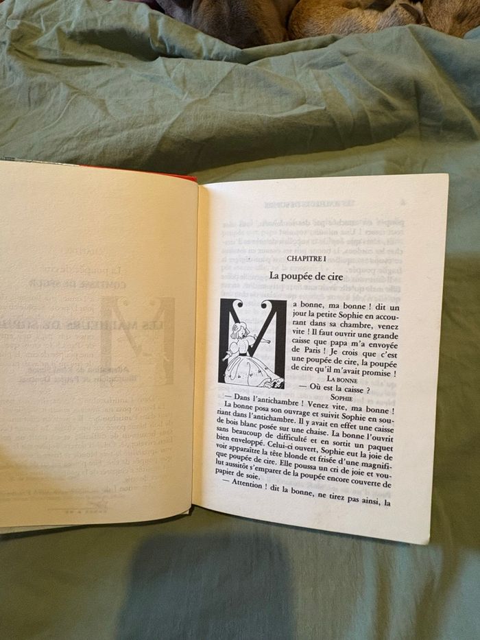 Les malheurs de Sophie - photo numéro 2