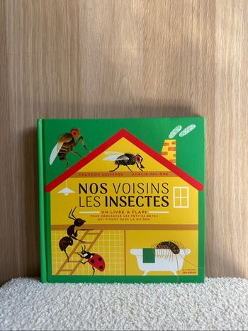 Livre nos voisins les insectes