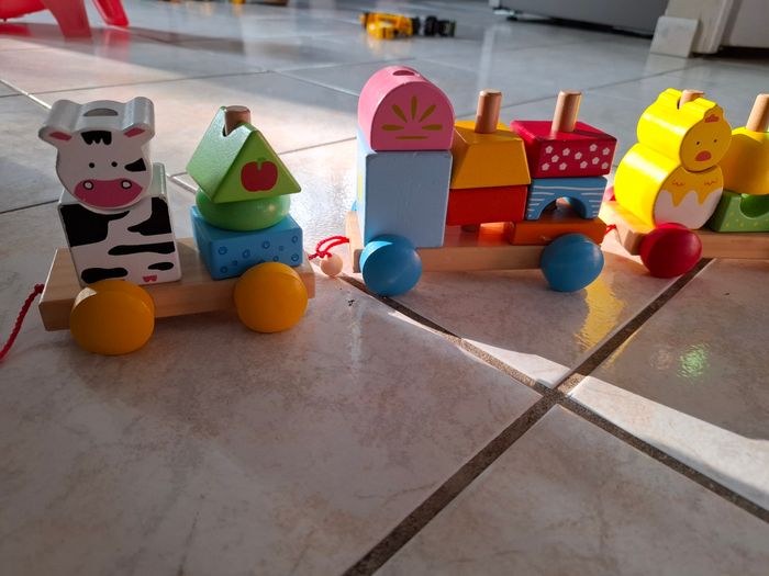 Train bois - photo numéro 2