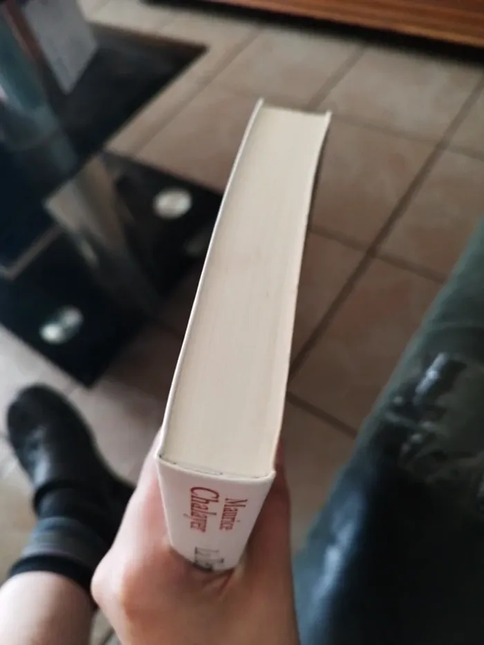 La terre de la discorde de Maurice Chalayer - photo numéro 3