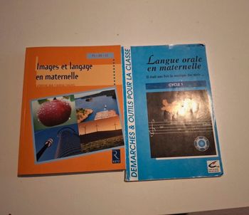 Lot livres peda maternelle