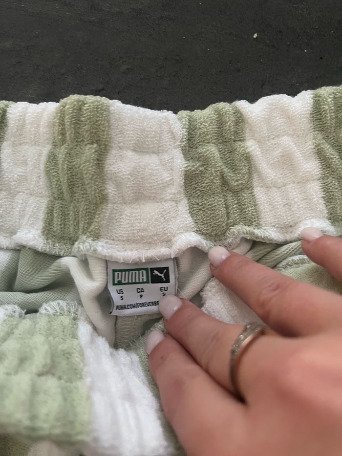 Short puma - photo numéro 4