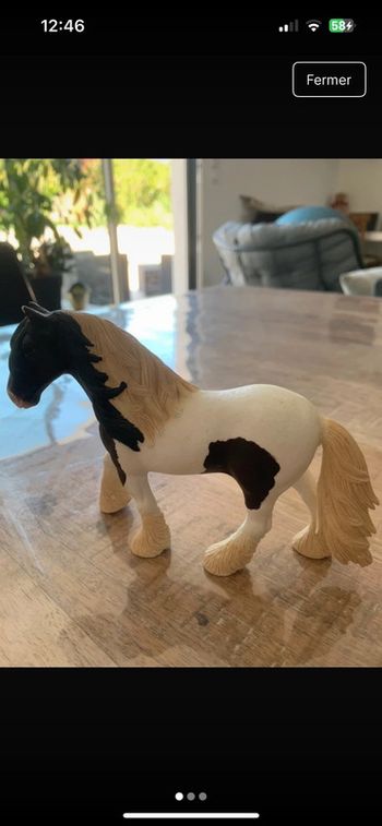 Schleich trait