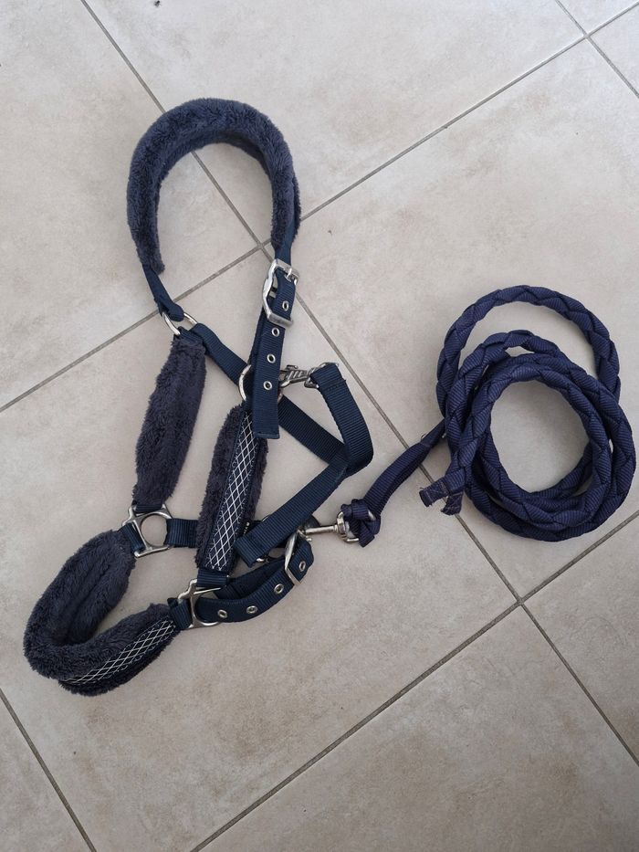 Licol cheval + longe fonganza
Bleu