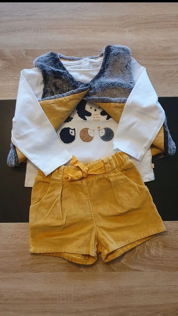 Ensemble tee-shirt, short et gilet 23 mois