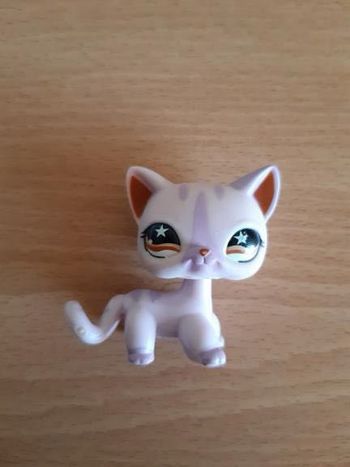 Pet shop 933